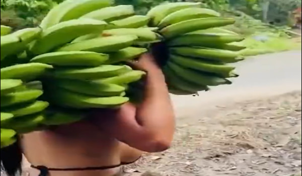 【動画あり】バナナ農家の娘、ドスケベすぎだろ・・・